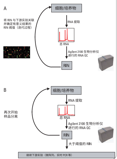 新闻图片3