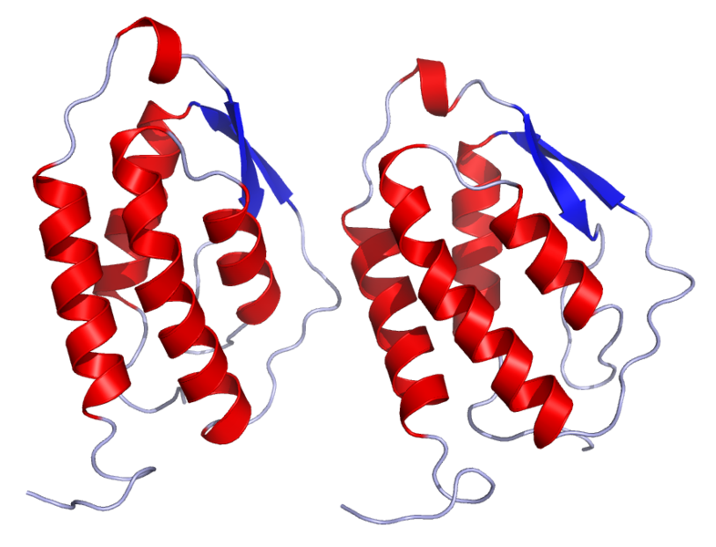 热门因子检测：粒细胞-巨噬细胞集落刺激因子（GM-CSF）