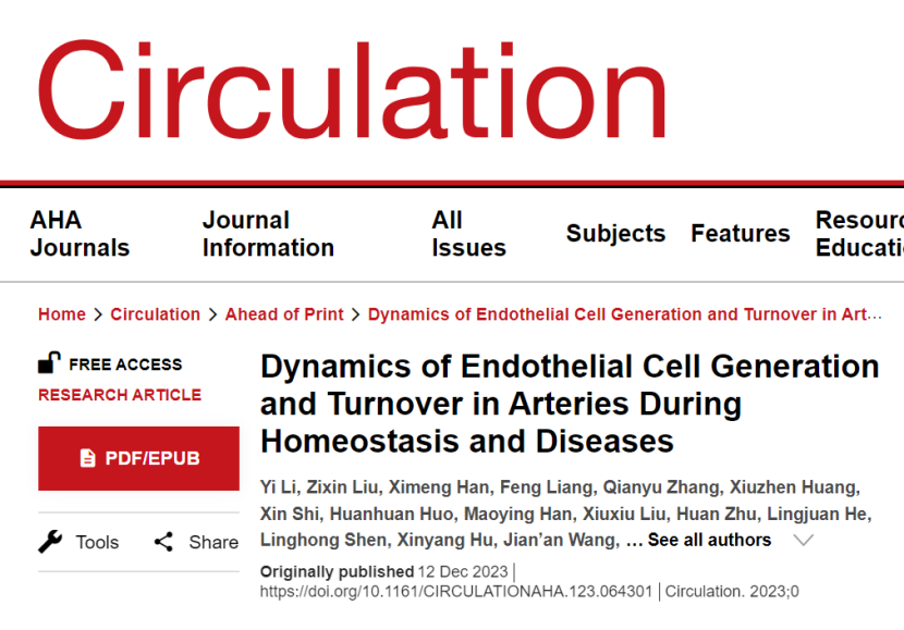 Circulation | 南模生物助力揭示体内平衡和疾病期间动脉内皮细胞生成和周转的动力学