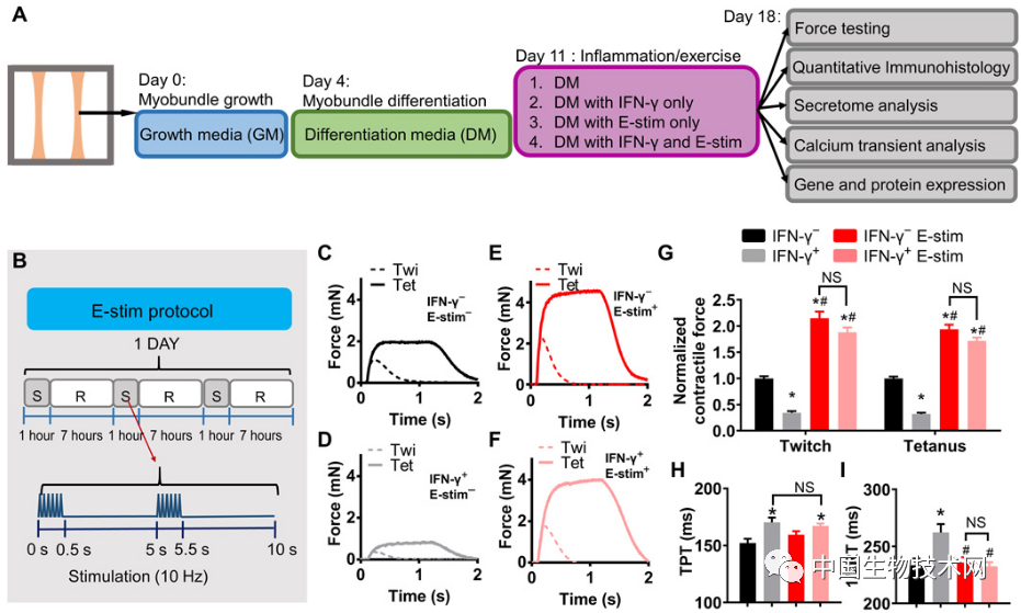杜克科学家发现：锻炼身体，真的可以防止被炎症“欺负”