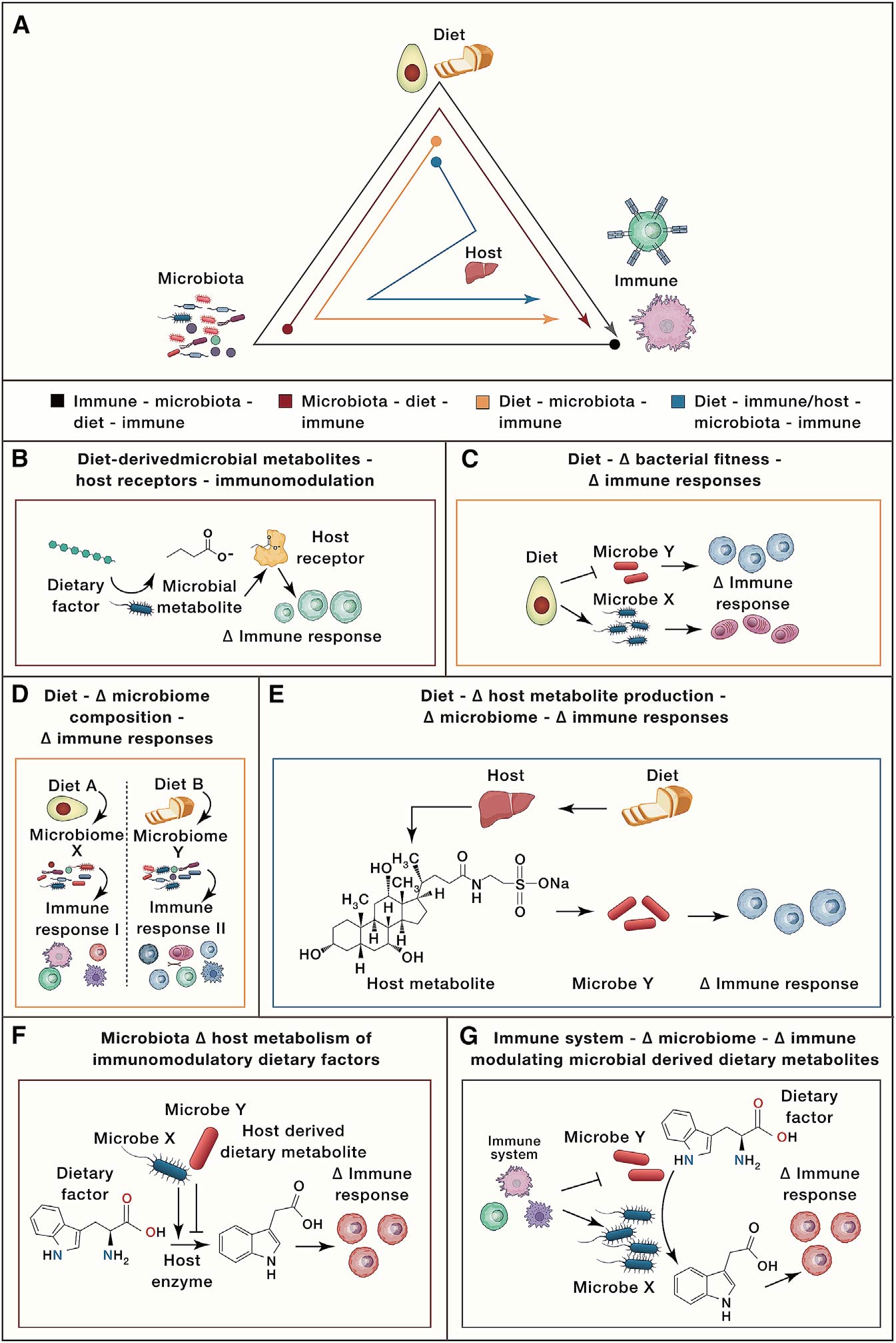Immunity | 重磅综述: 饮食-菌群-免疫互作