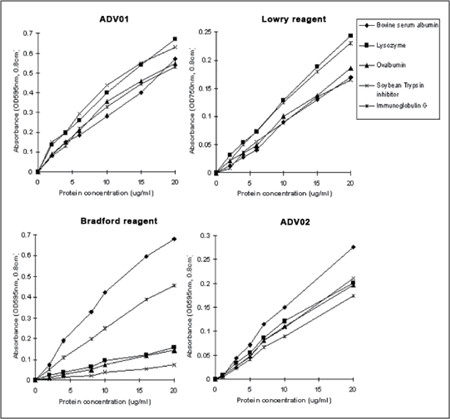 Cytoskeleton丨艾美捷 精密红色高级蛋白质分析