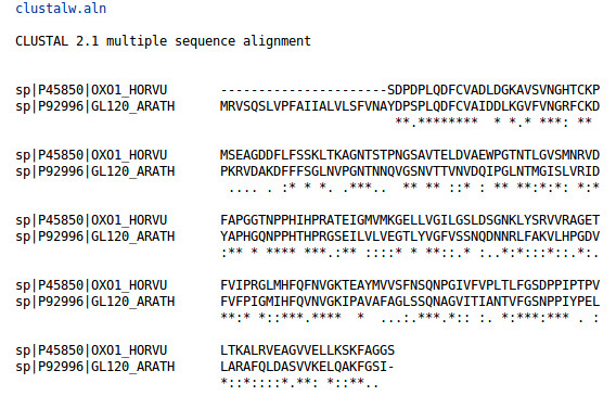 Can knowing the antigen sequence help identify background bands in a Western blot?