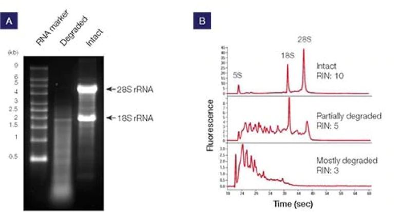 1697677964799316.jpg 1697677964799316.jpg