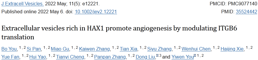 【J Extracell Vesicles】17分+，富含HAX1的细胞外囊泡通过调节ITGB6翻译促进血管生成