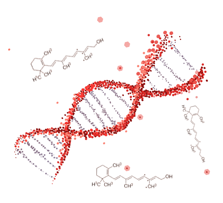 图片18.png 图片18.png