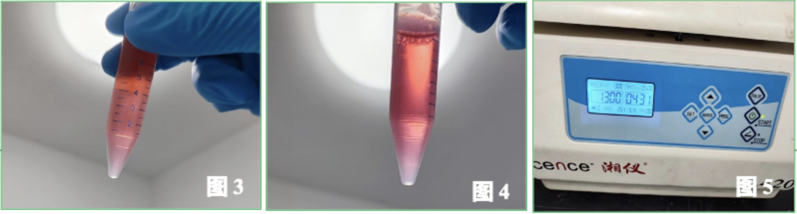 新闻图片10