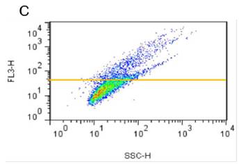 0414835200731373.jpg 0414835200731373.jpg