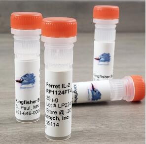 艾美捷抗美洲驼泛B细胞单克隆抗体相关说明书 艾美捷抗美洲驼泛B细胞单克隆抗体相关说明书