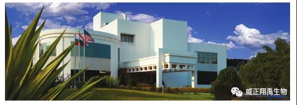 进口VB12测定用培养基，