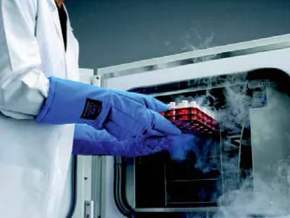 【干货分享】细胞冻存与复苏步骤、 原理及注意事项