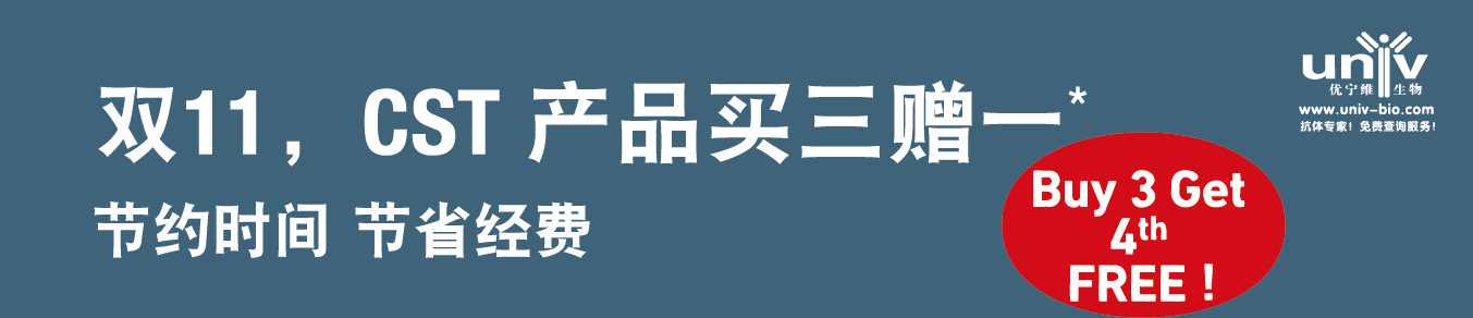 CST年终压轴巨惠，买三赠一, 秒抢双11 ！