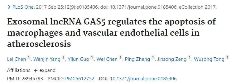 外泌体lncRNA GAS5调控动脉粥样硬化中巨噬细胞和血管内皮细胞的凋亡