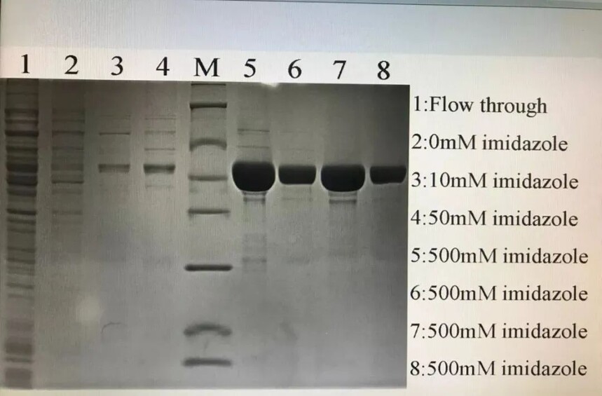 1695345170800451.jpg