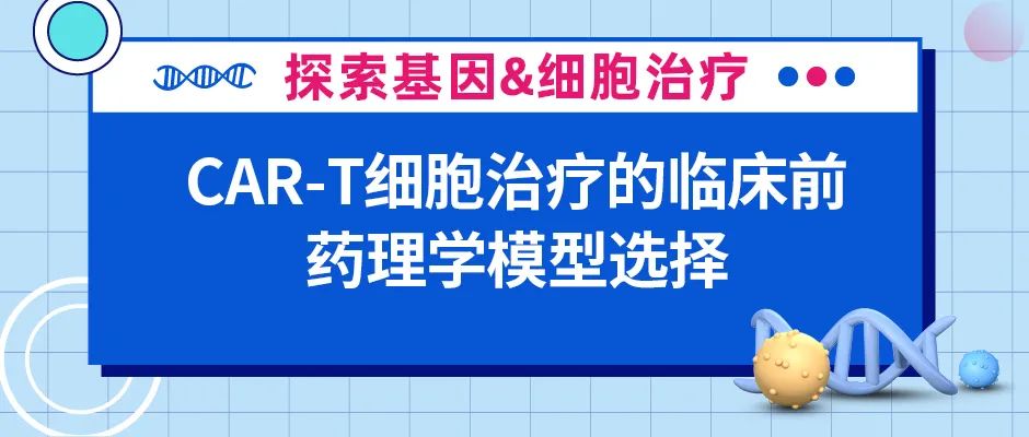 CAR-T细胞治疗临床前药理学模型知多少