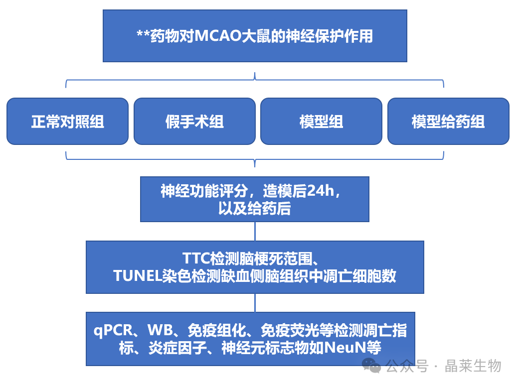 新闻图片5