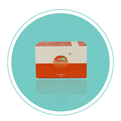 狂欢双11，ELISA 试剂盒仅需1500！