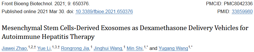 文献解读：外泌体装载地塞米松