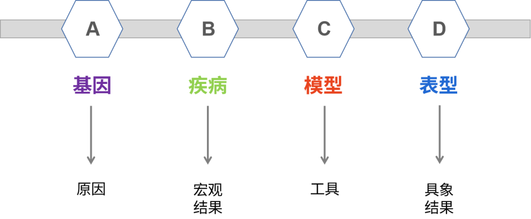百里挑一，这些疾病你选对模型了吗？