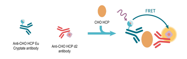新品上市！用于CHO HCP残留检测和定量的即用型HTRF和AlphaLISA检测试剂盒