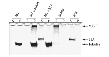 32.png 新闻图片2