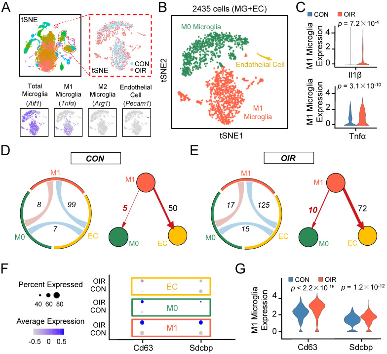 外泌体技术服务 外泌体技术服务