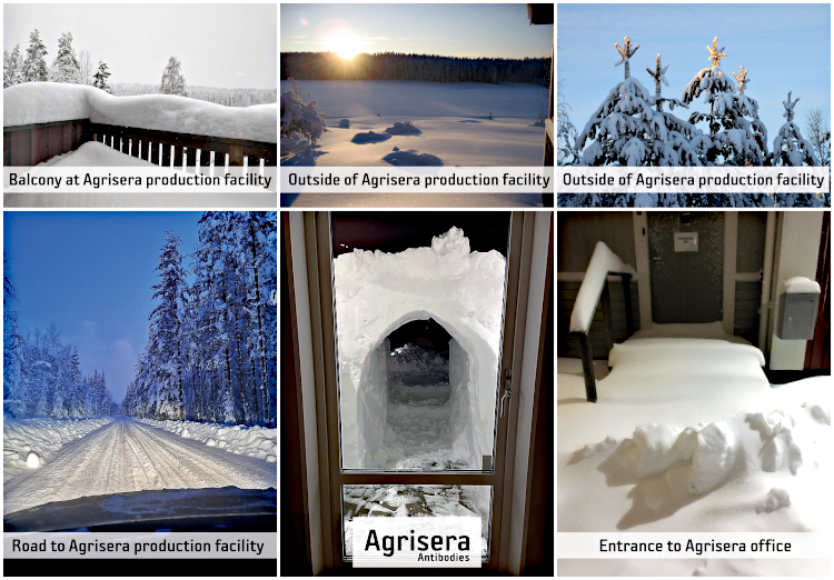 Do you know where exactly Agrisera is located?