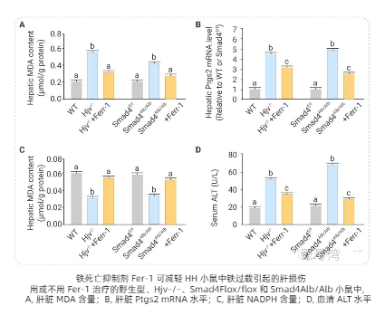 脂质过氧化物检测.png 脂质过氧化物检测.png