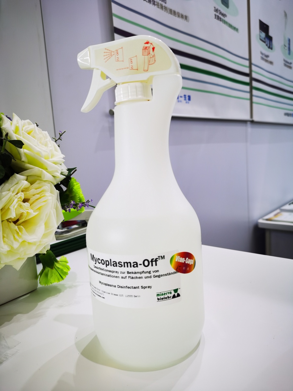 对付抗生素，细菌竟上演“变形记”，支原体祛除喷雾防外源干扰