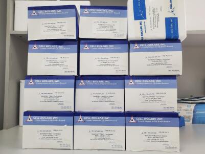 艾美捷BrdU细胞增殖检测试剂盒原理&用途介绍   