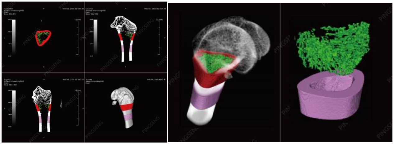 小动物成像检测有哪些？可以对应哪些指标？