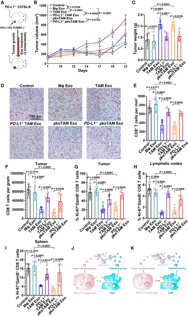 外泌体技术服务