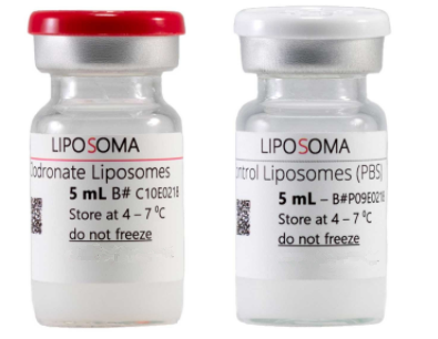 Liposoma BV-荧光探针泛素Ub-Rh110MP，科研好物低价抢