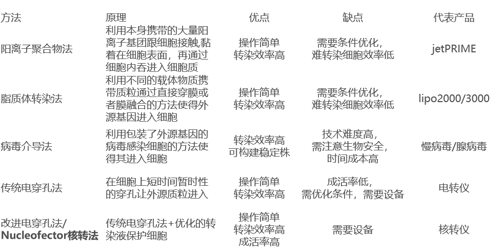 细胞转染效果好，核转tips少不了