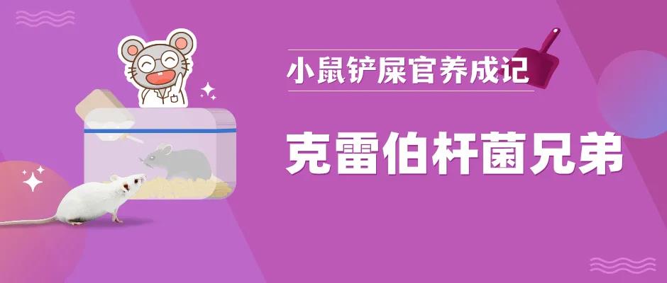 克雷伯杆菌兄弟---你可能只知其一，不知其二