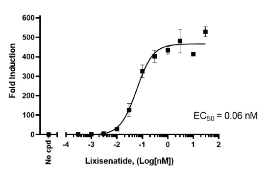 GLP-1R/CRE Luc报告基因 HEK293 细胞系