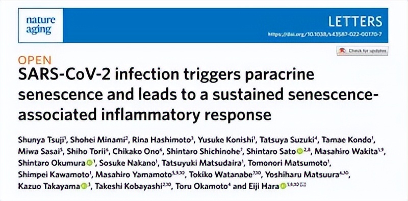 "SARS-CoV-2感染或导致持续衰老相关炎症反应 03"