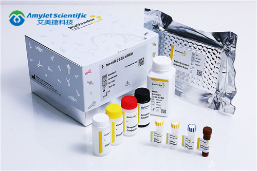 艾美捷无内毒素卵清蛋白，专为解决伪影和不准确的结果