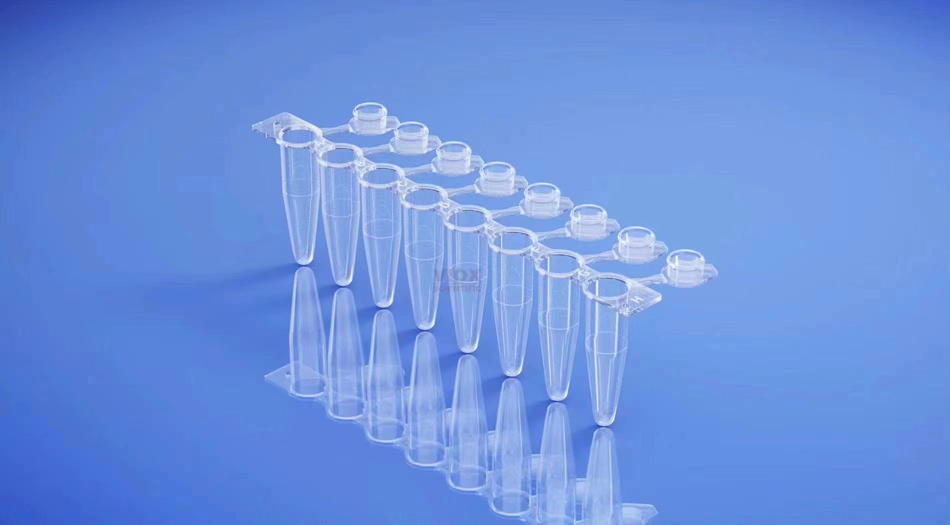 本生推荐—彩色系列及连盖八联管0.1ml 0.2ml 配光学平盖