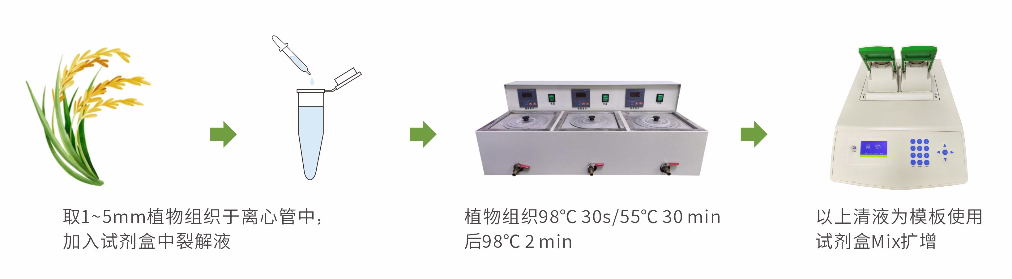 重磅推出 | 简便、快捷的植物直扩PCR试剂盒