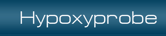 Hypoxyprobe--缺氧探针供应商