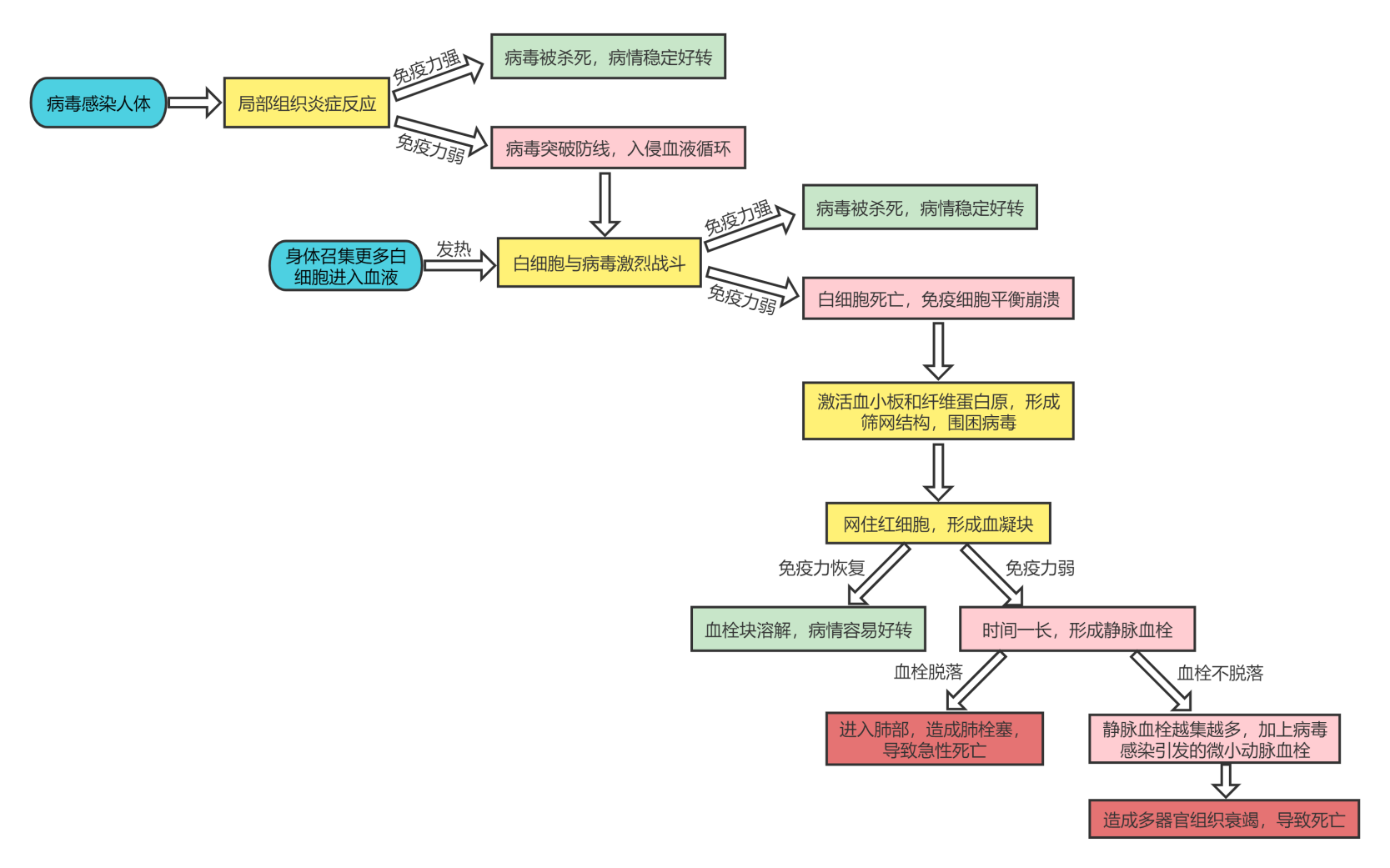新冠不是大号流感，警惕肺静脉栓塞！