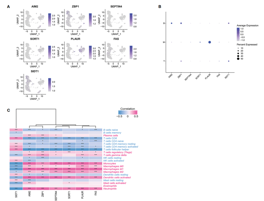 1708996222123589.png 1708996222123589.png