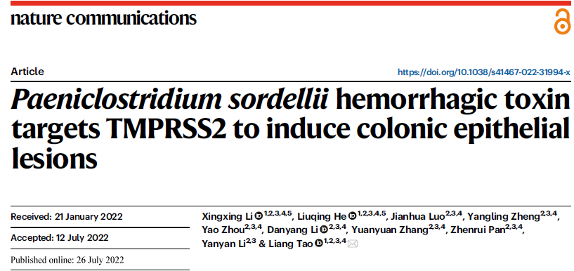 文献分享—陶亮团队揭示TMPRSS2能介导索氏梭菌出血毒素的宿主入侵
