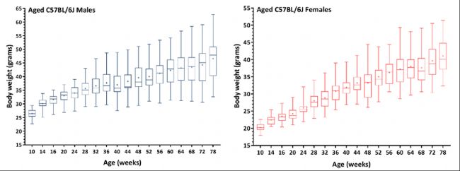 更了解您的老龄鼠，从这四件事做起！
