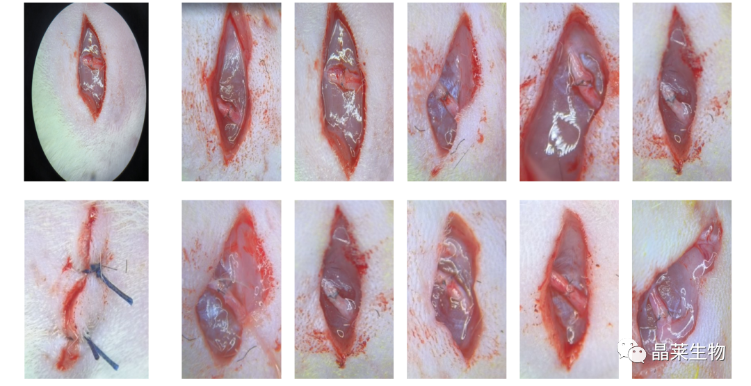 1699860402855489.png 新闻图片3