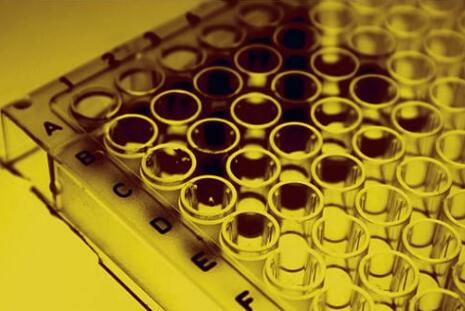 G-BioSciences F(ab')2 片段制备试剂盒解决方案 G-BioSciences F(ab')2 片段制备试剂盒解决方案