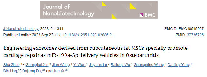 【J Nanobiotechnology】10+，源自皮下脂肪间充质干细胞的工程外泌体作为miR-199a-3p在骨关节炎中的传递载体促进软骨修复