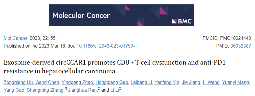 【Mol Cancer】37+，外泌体衍生的circCCAR1促进肝细胞癌中CD8 +T细胞功能障碍和抗PD1耐药性