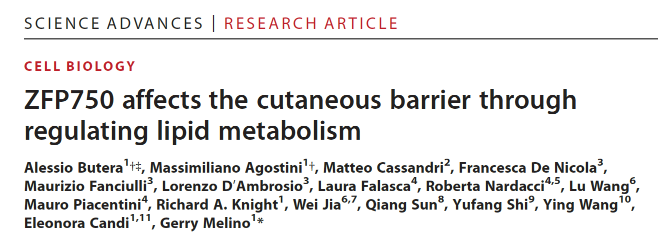 合作成果 | 揭示皮肤脂质屏障的影响机制-贾伟教授与罗马第二大学联合研究